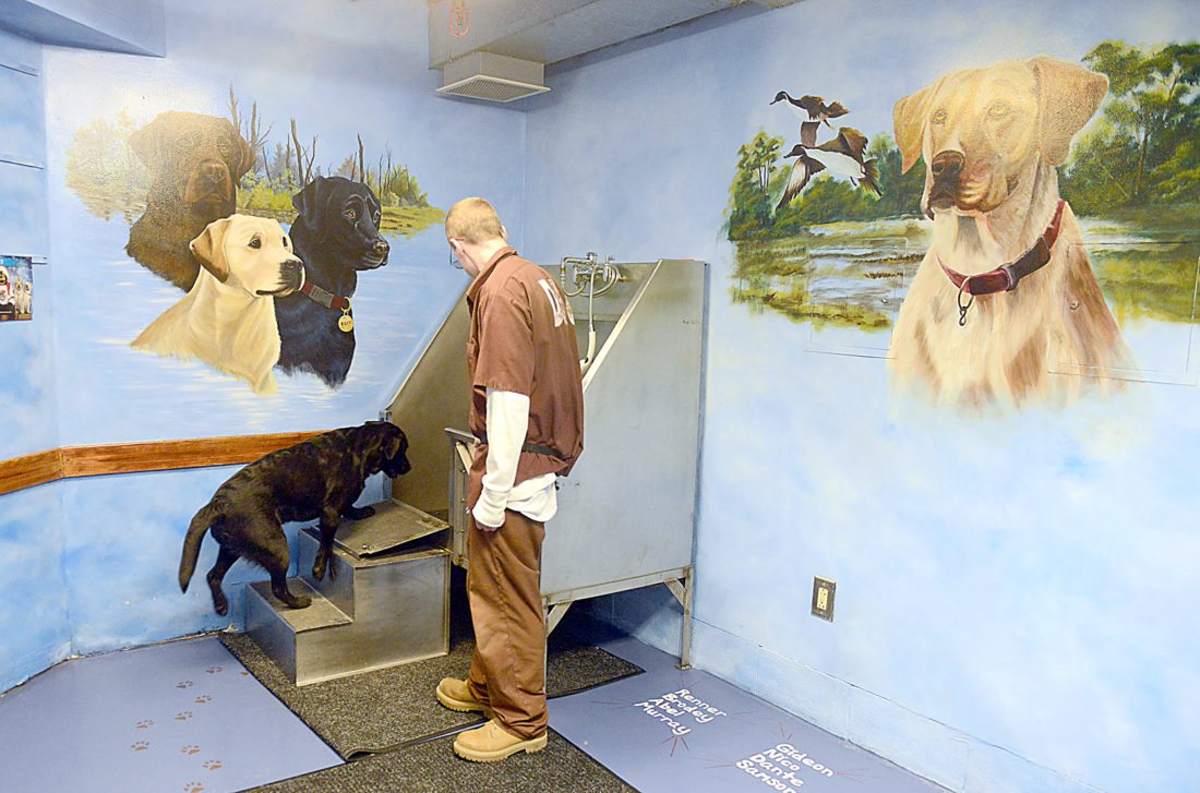 Gallery image